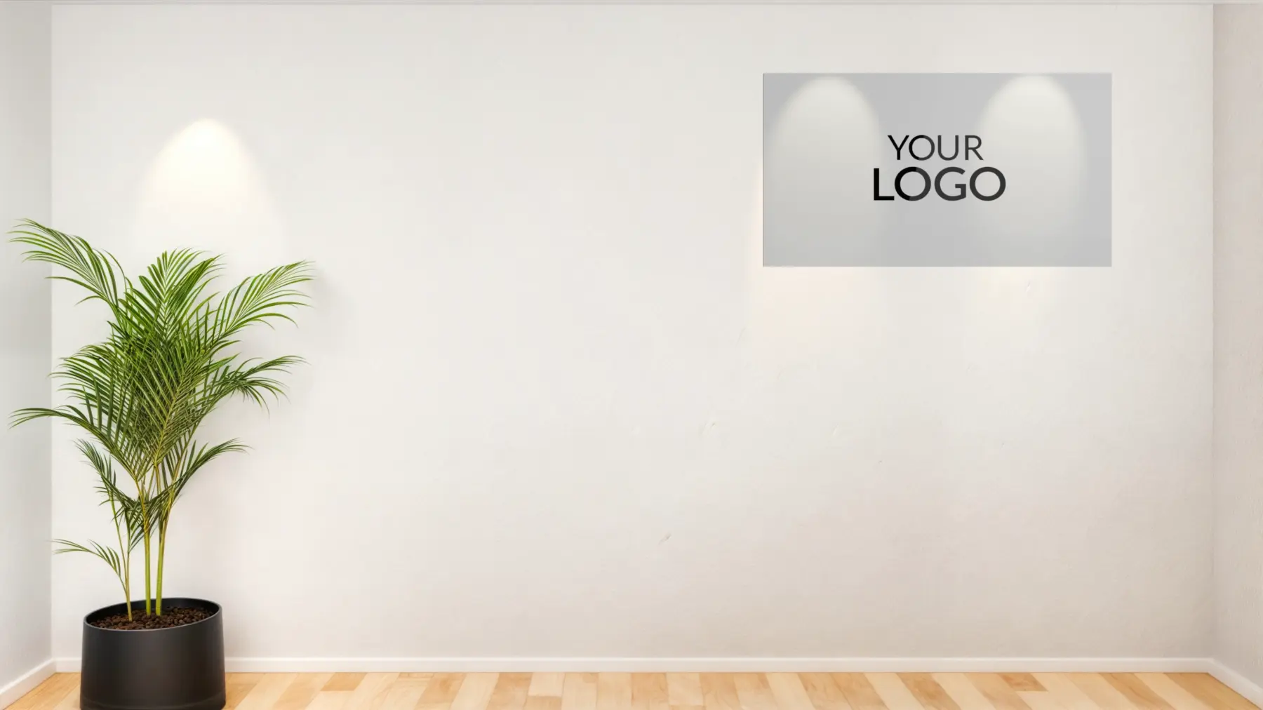 Professional Background